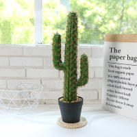 Gran Suculentas Artificiales De Espina De Desierto Para Decoración Del Hogar 30/43cm Planta Falsa De Cactus Para Interiores Sin Mantenimiento - details 3