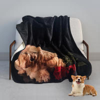 Manta Para Perros Impermeable Bucephalus Reversible Suave Y Lavable Protección Para Sofá Manta Para Gatos Y Perros Con Patrón De Animales - details 36