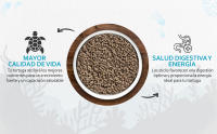 AreaAnimal - Comida Tortugas de Agua, 1.5KG/5.5L Comida Tortuga Natural, Comida para Tortugas de Agua Stick, Pienso Tortugas de Agua con Alto Valor Nutritivo, Comida Tortugas Altamente Digestibles,  Comida Tortuga Agua Fortificado con Nutrientes - details 2