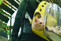 Purlov, Mochila transportadora para gatos y perros pequeños, diseño semiesférico con ventana transparente, transpirable y cómoda, ideal para viajes, senderismo y paseos, con ventilación, bolsillos y correas ajustables, medidas 41x35x24 cm - details 2
