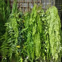 1PC Planta Artificial Colgante De Hierba Verde Falsa Valla De Plástico Para Decoración De Jardín Y Restaurante Arquitectura Suave - details 5
