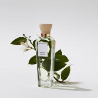 Adolfo Domínguez - Agua Fresca de Azahar Eau de Toilette | Perfume para mujer. Flor de Azahar, Naranja, Neroli, Petitgrain y Cedro. Fragancia Femenina Floral Cítrica Fresca y Sostenible - details 1