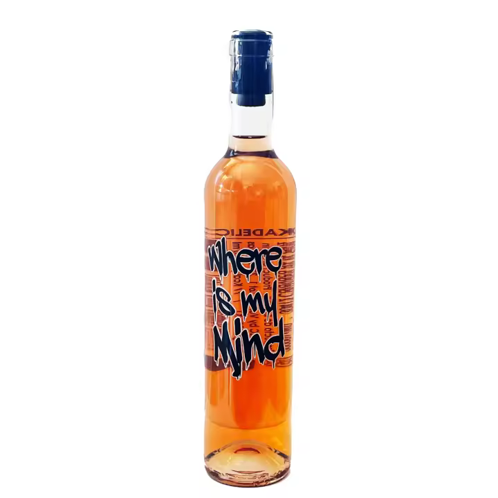 VINO ROSADO PUNKADELIC vino natural artesano de tinaja (ánfora) naturalmente dulce y bajo en alcohol. Refrescante y original ¡para tomar con hielo! - 1