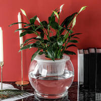 Maceta Autoabastecida Transparente De Plástico Para Plantas Y Acuarios Decoración Moderna Para Sala De Estar Y Oficina - details 3