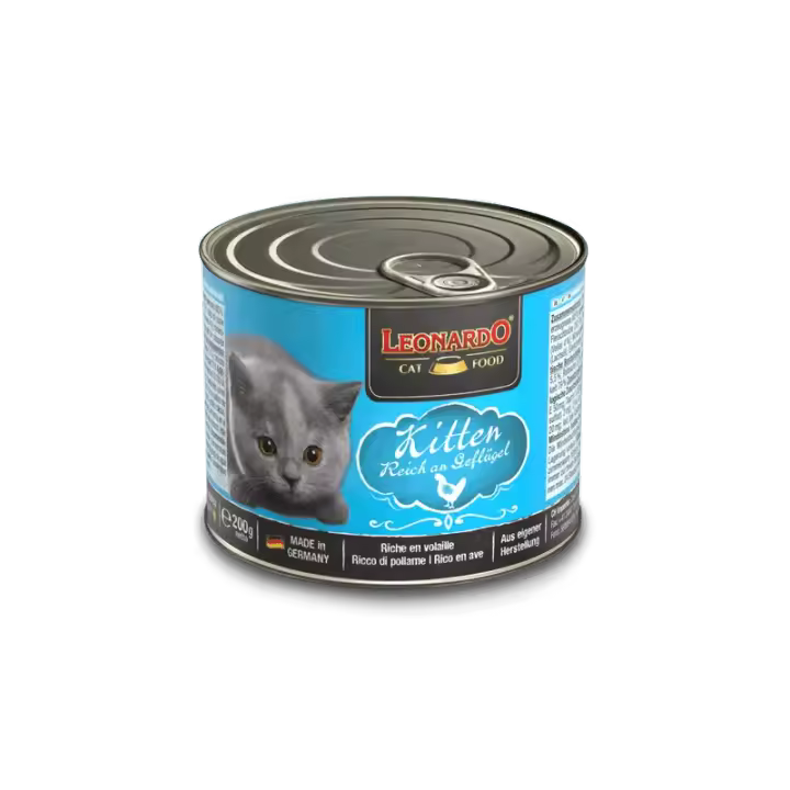 Leonardo Kitten Rico en Ave - 1