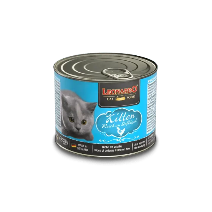 Leonardo Kitten Rico en Ave - 1