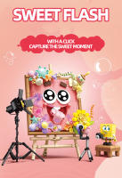 Bloques De Construcción 3D SpongeBob SquarePants Serie Creativa Regalo De Fiestas Para Niños Decoración De Escritorio Bloques De Plástico ABS Tamaño Pequeño Compatible Con Lego - details 8
