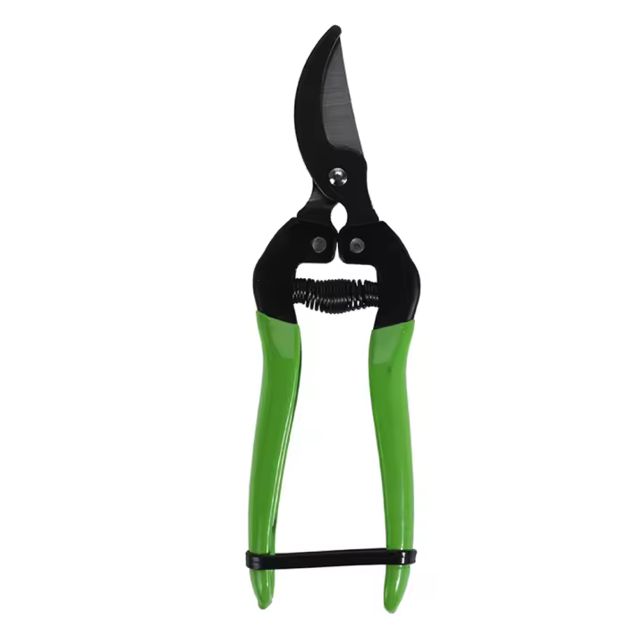 Ipae-Progarden Tijeras de Poda Mango Verde Diseños Surtidos 80x175mm Acero - 1