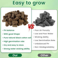 50/100Pcs Esponjas De Crecimiento De Semillas Reemplazo Para Raíces Esponjas De Cultivo Hidroponico Para Plantas Germinantes En Jardín - details 3