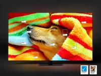 TV 43/50/55/65" Samsung TQ Q60D QLED 4K Smart TV 2024 - details 4