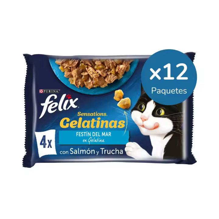 FELIX - Sensations Gelatina (48x85 gr) - Comida Húmeda Festín del Mar (Salmón y Trucha) (12x4x85 gr) - 1
