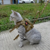 Harnés Táctico Marrón Claro Para Gatos Con Correa Ajustable Anti-roque Para Paseos Control De Perros Pequeños Cadena De Gatos - details 0