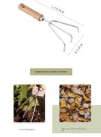 Juego De 5 Piezas De Jardín Con Pala Rascador Y Escarabajo Manija De Madera Para Plantas En Macetas Y Jardín Herramienta De Jardinería Para El Hogar - details 9