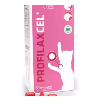 Pharmadiet Profilaxcel 30 cáps. - 1