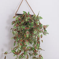 Planta Artificial De Vínculo Largo Para Pared Hojas Verdes De Árbol Silken Rattan Decoración Para Hogar Jardín Bodas Mesa Central - details 5