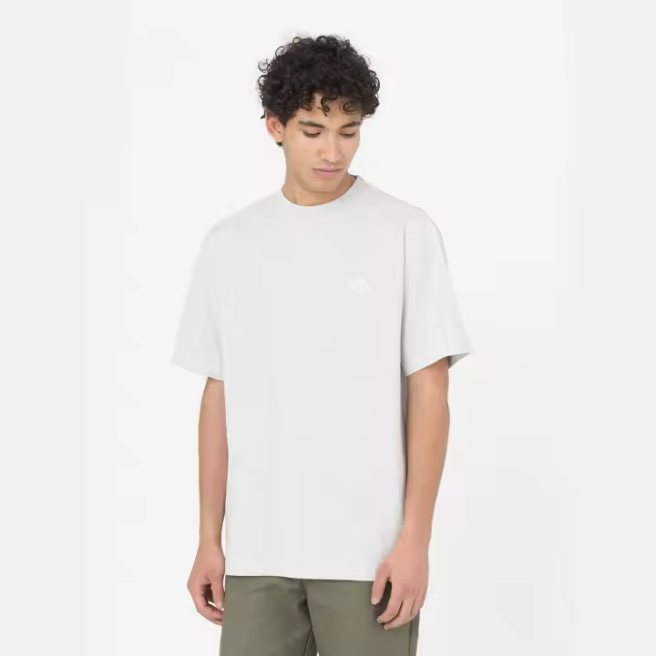 Dickies T-Shirt Summerdale Light Grey Camisetas Dickies 8052133626107 196246602839 - 1