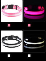 Correa De Perro De Nylon Con LED Para Seguridad Nocturna Y Fluorescencia Luz En La Oscuridad Collar Luminoso Para Mascotas Adecuado Para Todas Las Estaciones - details 3