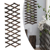 Valla De Madera Retráctil Para Jardín Pino Decorativo Trellis De Enredadera Para Plantas Soporte De Flores Y Macetas - details 2