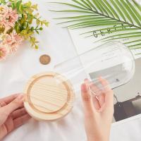 Jarrón De Vidrio Con Base Cloche De Cristal Para Exhibición De Plantas Flores Suculentas Y Almacenamiento Decoración Para Hogar Y Fiestas Navideñas - details 0