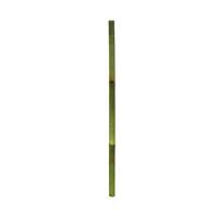 Gerimport Palo de Bambú Verde 7 x 120 cm - Decoración Natural para Interiores y Exteriores, Ideal para Proyectos Creativos, Soportes de Plantas y Arreglos Florales, Añade Estilo y Frescura a Tu Hogar - details 0