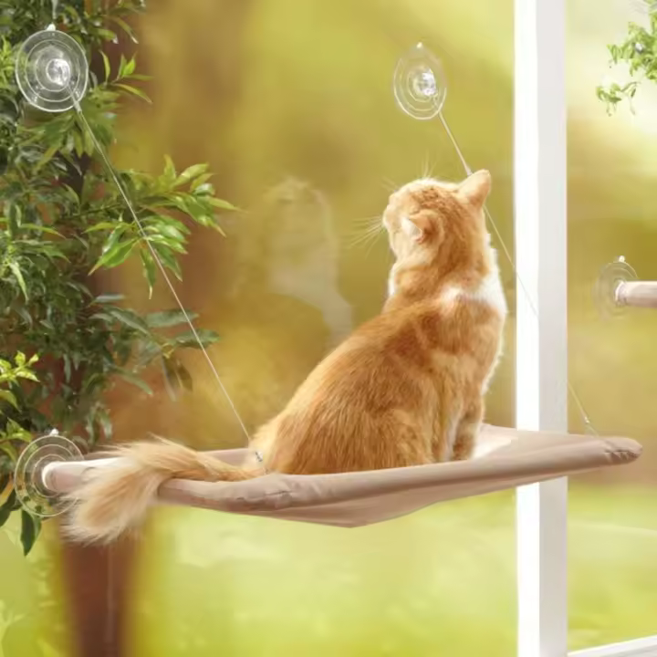 Hamaca de Gato Montada EN LA Ventana SPEAKS LA Perca del Gato, Cama Colgante para Mascotas con Ventosa, Duradera, Resistant, Espacio de Almacenamiento (55x32 cm) - 1