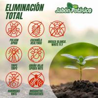 FERTIBONO Jabón Potásico con Aceite de Coco 750ml - Efectivo contra Pulgón, Cochinilla, Ácaros - 100% Natural y Residuo Cero - Made in Spain - details 0