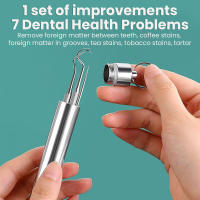 Juego De Herramientas Dentales Portátiles De Acero Inoxidable 304 Agujas Para Palillos Y Limpieza Dental Uso Individual - details 5