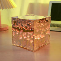 Lámpara De Mesa LED De Noche Con Diseño De Flor Y Nube 3D DIY Regalo Para Dormitorio Decoración De Mesa Con Espejo Incluida - details 5