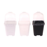 Juego De 5 Macetas Cuadradas Pequeñas Con Domos De Humedad Transparentes Para Plantas En Iniciación Moderno Estilo Plástico - details 19