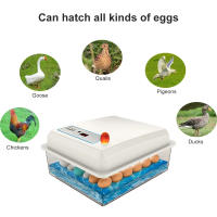 Incubador De Huevos De 20 Unidades Automático Para Ponedero Doméstico Apto Para Pollos Gansos Pato Y Otros Pájaros Material Plástico - details 2