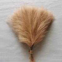 15pcs Arreglo De Pampas De Juncos Artificiales Para Decoración De Hogar Y Bodas Flores Silken Para Vaso Decoración De Dormitorio Y Fiesta DIY - details 7