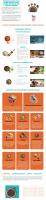 Belcando Finest Grain Free Salmon 12,5 Kg Comida Para Perros - details 0
