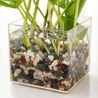 Jarrón De Plástico Transparente Y Minimalista Moderno En Forma De Cuadrado Para Decoración Del Hogar Y Estudio Contenedor De Plantas Hidroponicas - details 4