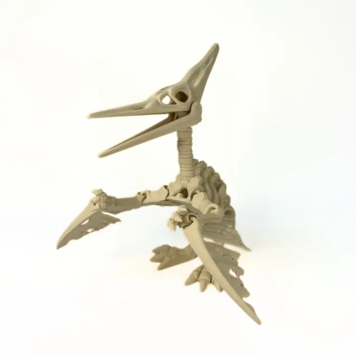 Dinosaurios Articulados en 3D – Figuras de Esqueleto Realistas con Movimiento, Gran Variedad de Modelos a Elegir – Regalo Original Educativo para Niños, Coleccionistas y Amantes de los Dinosaurios MFS MyFuturShop® - 1