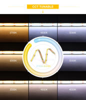 Tira De Luz LED COB CCT Alta Densidad 608 LEDs/m 2700K a 6500K Cambiable DC12V 24V Dimmable FOB Lámpara De Tira Lineal Para Iluminación De Sala De Estar - details 4