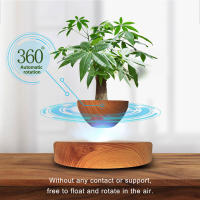 Maceta Flotante Magnética Levitación Para Plantas Sin Tierra Maceta De Rotación Para Decoración Del Hogar Con Diseño De Bonsái - details 14