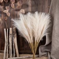 10pcs Falso Pampas De Grama Para Decoración De Hogar Estilo Bohemio Rustico Y Farmhouse Relleno De Vaso Alto Decoración De Piso - details 5