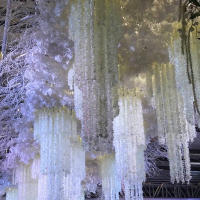 Garland De Flores Artificiales De Wisteria 20Pcs Valla De Hierba Falsa De Seda Para Decoración De Hogar Jardín Y Boda - details 2