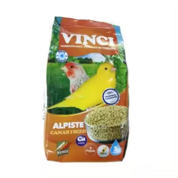 Alpiste Vinci para Canarios, Rico en Nutrientes y Antioxidantes - 1