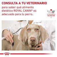 Royal Canin Veterinary Canine Gastrointestinal Low Fat 6kg - details 8