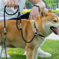 Correa Y Collar Para Perros De Nylon Doble Mano Para Entrenamiento Sin Arrastre Fuerte Para Perros Medianos Y Puppies - details 3