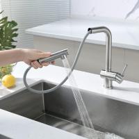 Grifo Extraible X207S Ducha | Fregadero Caño Alto - details 2