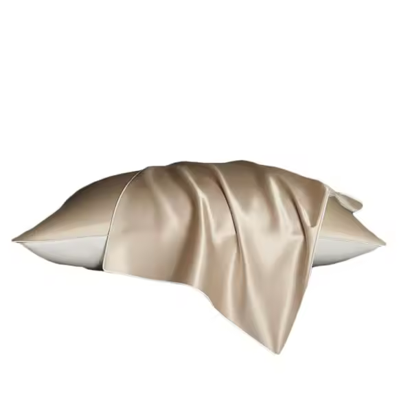 Funda para pelo y piel Queen 2 unidades funda almohada de raso 48x74cm champagne - 1