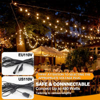 Luces De Cadena LED G40 De Plástico E12 110V US 220V EU Impermeables Y Resistentes Al Choque Para Decoración De Jardín Exterior - details 0