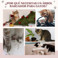 PawHut Árbol Rascador para Gatos Pequeños 43 cm Torre para Gatos con Poste Giratorio con Bolas de Juego Plataforma y Caseta 40x30x43 cm - details 6