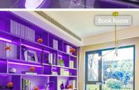 Tira De Luces LED UV 5M DIY Multifunción Para Decoración De Fiesta Barra Halloween Baño Dormitorio Lámparas De Desinfección Y Esterilización - details 11