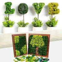 Plantas Artificiales De Hierba De Mostrador Para Decoración De Hogar Y Habitaciones Mini Landscape Falso Grama 20/40/100g Para DIY Crafts Y Jardín - details 8