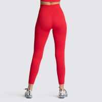 Leggings De Yoga Sin Costuras Para Mujer Levantador De Glúteos Deportivos De Fitness Y Gimnasio Pantalones De Running Terciopelo De Nylon De Cintura Elástica - details 39