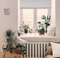 The Secret Home - Persiana Veneciana de PVC - Estor para Ventana Enrollable - Ideal para Salón, Cocina, Dormitorio, Despacho - details 1