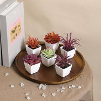 Set De 6 Suculentas Artificiales Miniatura En Vaso Blanco Para Decoración De Escritorio Librería Restaurante Y Ventanas Casas - details 19